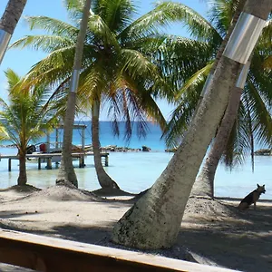Poerani Nui Manihi